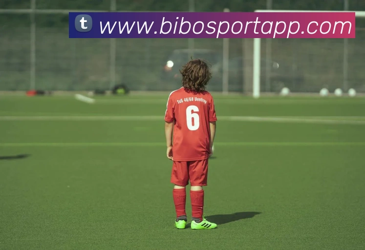 必博体育APP 封面图